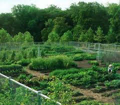 Planning The Garden Inspiration From Martha Stewart Living Garden Planning Vegetable Garden Planning Garden