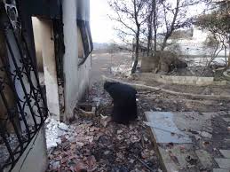 Î£Ï‡ÎµÏ„Î¹ÎºÎ® ÎµÎ¹ÎºÏŒÎ½Î±