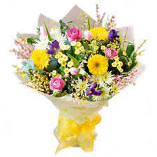We did not find results for: Same Day Flower Delivery To Colombia Send Flowers To Colombia