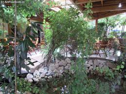 Hotel alessia is situated in romania's eforie nord resort, 50 metres from the beach. 17 Alessia Hotel Eforie Nord Impresii PÄƒreri RecomandÄƒri Alessia Hotel Amfostacolo Amfostacolo