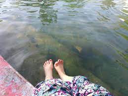 589, b52, kampung dusun tua, 43100 hulu langat, selangor, malaysia. Kolam Air Panas Batu 16 Dusun Tua Hulu Langat Selangor Malaysia Syafierayamin Com Beauty Blogger Malaysia