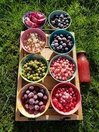 The crabapple is an example of a common ornamental that also produces edible fruit. Lubera Edibles Alles Uber Fruit Trees