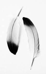 Light As A Feather Black And White Aesthetic White Aesthetic Black Aesthetic