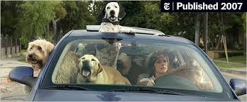 Free account, no commitments, pay only for the movies you watch. Year Of The Dog Movie The New York Times