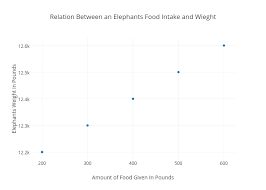 Relation Between An Elephants Food Intake And Wieght
