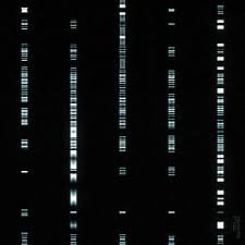 30000fps Amazing Gifs Motion Design Glitch Art
