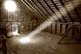 Bay area fastrak customer service center—handles. 28 Attic Rodent Humor Ideas Funny Humor Funny Animals