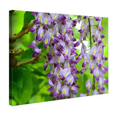 Le perle di vetro sono stragede all'interno di ogni fiore. Quadro Fiori Grappolo Di Fiori Fl84