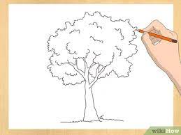 Usate la matita hb e disegnate. 3 Modi Per Disegnare Gli Alberi Wikihow