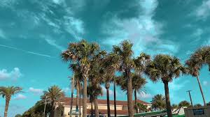 @AlmonGunter's video Tweet