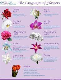 Best Of What Kind Of Flower Symbolizes Happiness And Pics Flower Meanings Language Of Flowers Happy Flowers
