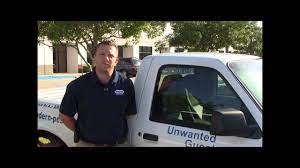 Popular searches in katy include: Modern Pest Control Inc 1110 East Ave Katy Tx 77493 281 561 0100