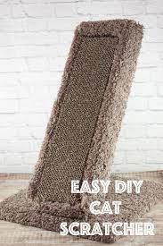 Pin On Pet Tacular Diy