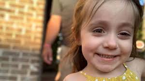 Fundraiser by Elise Crowe : Willow Strong