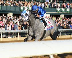 Horse photography, horses in the snow, equine photo, animal photography, black, white, green. Kentucky Derby Preview Essential Quality Aims To Stay Perfect Thoroughbred Racing Dudes