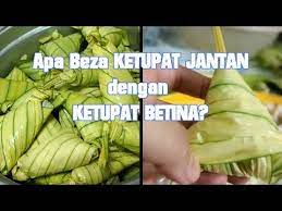 Cлушайте онлайн и cкачивайте песню perbezaan ketupat palas jantan dan ketupat palas 91 ketupat daun palas cara balut ketupat untuk anak2 mai masak ketupatpalas carabalutketupat. Membalut Ketupat Daun Palas Youtube