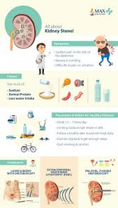 Pin On Kidney Health