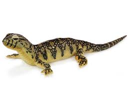 Image result for monika babi%u0161ov 