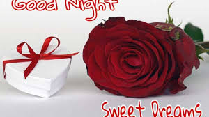Fall asleep happy tonight, my love. 121 Romantic Good Night Rose Flower Images Hd 2021 Best Status Pics