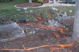 You would also need to have risers plumbed in to come to the surface of the future grade. Tree And Sidewalk Conflicts Lippi Consulting Arborists