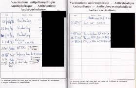 Le carnet de santé est un document conﬁdentiel, les informations qui y ﬁgurent sont couvertes par le secret médical. La Fiche Sanitaire De Liaison Comment La Remplir Latoilescoute