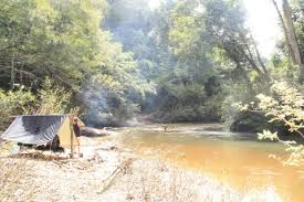 Taman negara established in 1939 and covering three peninsular states of pahang, kelantan and terengganu, is malaysia's premier park and the largest in the country. Taman Negara Kuala Koh Life With Nature