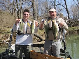 Maybe you would like to learn more about one of these? North Fork Elkhorn Creek Gallery Kentucky Department Of Fish Wildlife