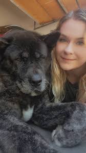 I'm available for dog walking and pet sitting