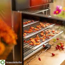 Heimischer Superfood Und Wie Man Ihn Haltbar Macht Eine Tolle Geschichte Mit Hagebutten Und Unserem Neuen Dorrgerat Dorrautomat Rezepte Mit Obst Superfood