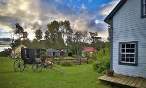 Image result for tbn:0PJB32OL7JwfOM::farm4.static.flickr.com/3324/3329876139_f2d551139f.jpg