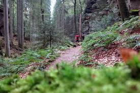 There are many different routes and difficulties to choose from based on your choice and activeness. Trailrunning Auf Der Extra Tour B Des Mullerthal Trails Freiluft Blog