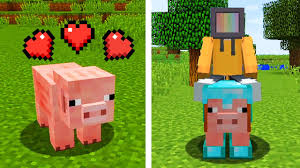 Players can breed the animals using one of those items. Top Five Uses For Minecraft Pigs