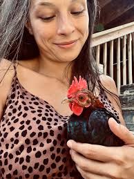 Free bantam rooster in Soddy Daisy