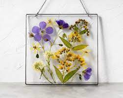 You can also make one by yourself. Frame Pressed Flowers In Resin Pressed Flower Art Floating Frame Dry Flower Frame Herbarium Frame Frame Flowers Boho Style Herbarium Pressed Flowers Dried Flowers Pressed Flower Art