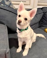 Maybe too easy 🤔😀