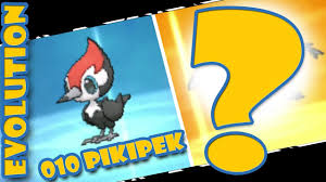 Evolution 010 Pikipek Into Pokemon Sun Moon New 3ds