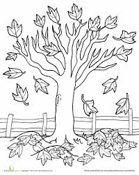 These fall color sheets are always a hit. Maple Tree Coloring Page T14 Coloring Pages Development