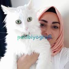prenses patibiyografi prenses kedi hayvan