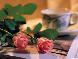 17 عکس از لحظات زیبا با گل و کتاب