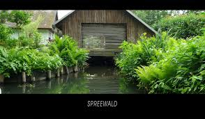 spreewald spreewald wald impressionen