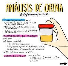 Pin En Enfermeria Y Medicina