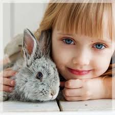 This fantastic petting zoo birthday party was submitted by rachel hoban of creative party. Petting Zoo Birthday Parties For Atlanta Georgia Kids My Petting Zoo Party Atlanta