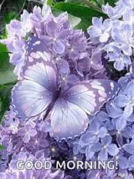 The perfect sorry apologize eeyore animated gif for your conversation. Purple Flowers Gifs Tenor