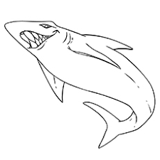 Here is a small collection of 20 amazing free printable shark coloring pages for your kids to develop creative here is a coloring sheet featuring a hammerhead shark. Top 20 Shark Coloring Pages For Your Little Ones