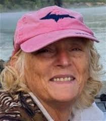 Dianne DeBoe Obituary