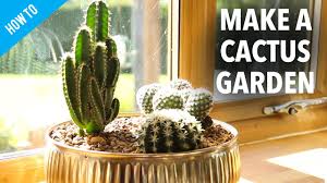 You plant cactus on sand blocks, from cactus seeds (sift sand for them), then break off new blocks as they grow (to keep the cactus growing for. How To Make A Cactus Garden Youtube