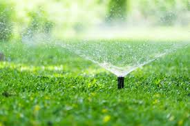Gardena hat alles, was du benötigst, um deinen garten die bewässerung zu liefern, die er braucht. Rasen Bewassern So Giesst Man Richtig Plantura