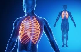 Academia.edu is a platform for academics to share research papers. Can A Rib Become Misaligned And How Can Chiropractic Help Align Chiropractic Wellness