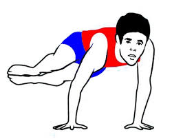 Side Crane Pose Parsva Bakasana Sarvyoga Yoga