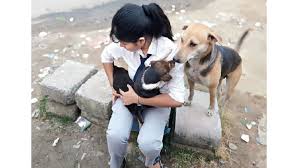 This means providing nutritious food, clean drinking water, shelter, and the opportunity. Zoophilists Who Are Taking Care Of Animals On The Streets During The Pandemic Telegraph India